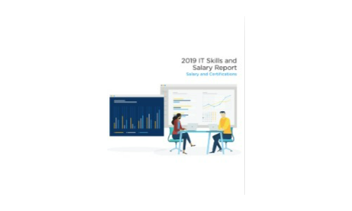 2019 IT Skills and Salary Report