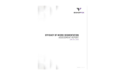 Efficacy of Micro-Segmentation: Assessment Report